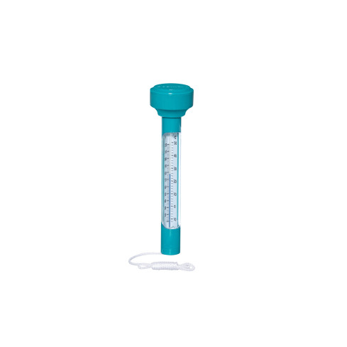 58072 BESTWAY SCHWIMMENDES SCHWIMMBAD-THERMOMETER
