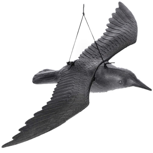 TG60298 RABE VOGELABSCHRECKUNG IM FLUG HÄNGEND GROSS FÜR BALKON