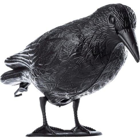 TG60297 GROSSE KRÄHE VOGEL ABSCHRECKUNG TAUBEN STARE