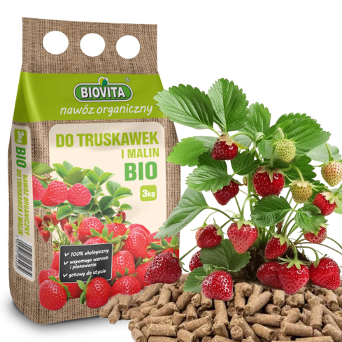 Organischer Dünger für Erdbeeren und Himbeeren, natürlich, BIO, Granulat, Biovita, 3 kg