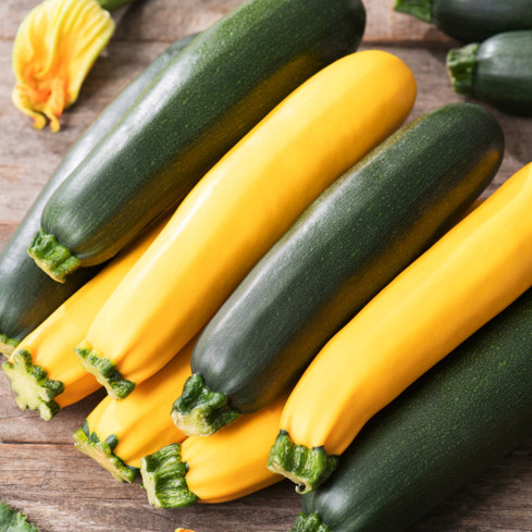 W1261 ZUCCHINI MIX CUCURBITA SORTEN VERSCHIEDENE FARBEN FORM BLUMEN 3G