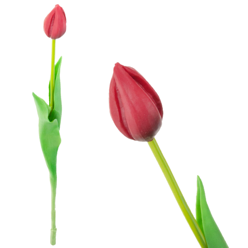CV07588-10 EINZELN GUMMIERTE TULPE ROT WIE LIVE
