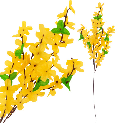 CV14393 YELLOW GASKLE FORSYCLE YELLOW GASKLE FORSYCLE ON GASKLE LEAF schilf