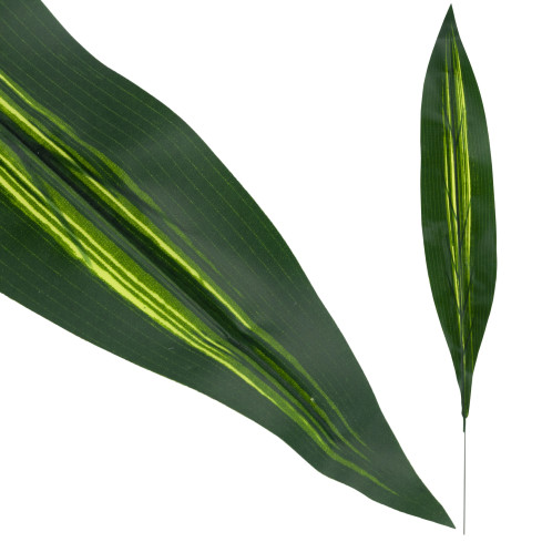CV15772 DRACENA, DRACENA LEAF GREEN PICTURE FLOWERS 60cm Rohrsäbel