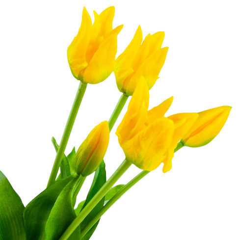 CV17691-3 TULIP BOUQUET GUMMIERT 5PC ALS LIVE