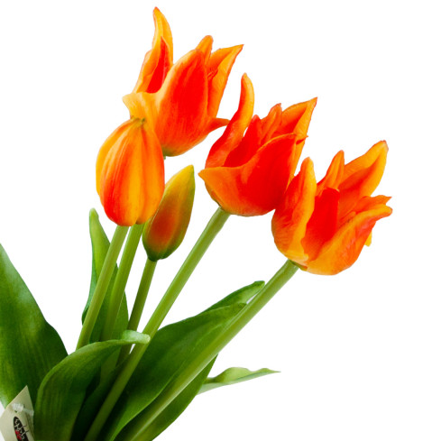 CV17691-4 TULPE TULPE PAPAGEI BOUQUET GUMMIERT ALS LEBENDE ORANGE