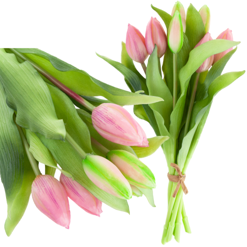 CV18674-6 Gummierte Tulpen, Strauß X7, rosa