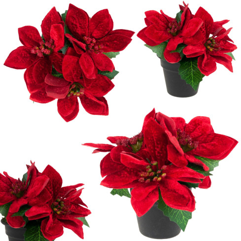 CV19864 STERN VON BETLEHEM IN EINEM TOPF KÜNSTLICHE VELOUR POINSETTIA REALISTISCH