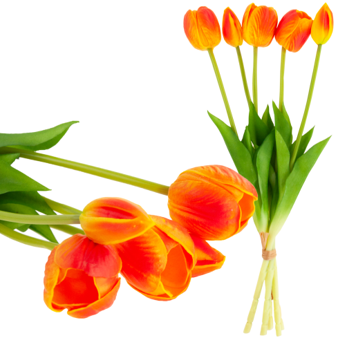 CV31218-5 BUCHASE VON TULIPS PUSH PUMA x 5 REALISTIC PERFORATED orange