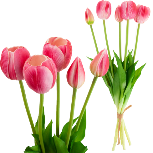 CV31218-7 BUCHASE VON TULIPS GUMA PUSH x 5 REALISTISCH PERFORIERT rosa
