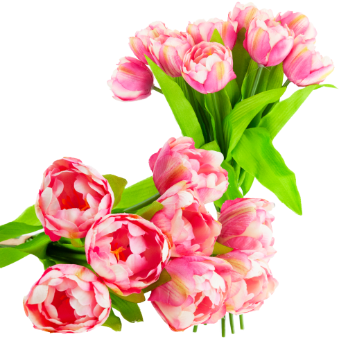 CV31227-4 Tulpenstrauß X7, rosa mit Schattierung, gummierter Stiel, dichter Frühlingsblumenstrauß