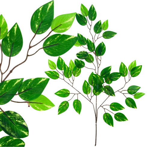 CV33350 Zierzweig Ficus, Ficus-Blätter für Gestecke, Vasen und Arrangements