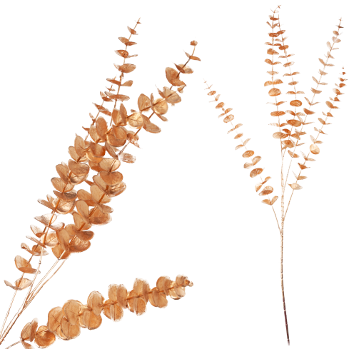 CV36967 Goldfarbener Eukalyptus-Zierzweig