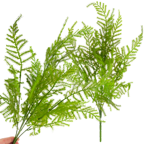 CV38574 BLUMENSTRAUSS AUS GRÜNEN ZWEIGEN SPARGELBLÄTTER GRÜN X5