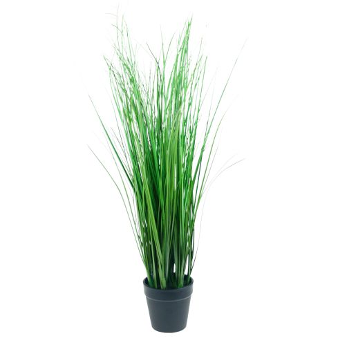 CV06318 FEAVY TRAY 54CM als lebende Dekoration