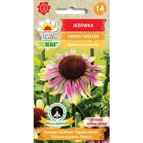 R4287 ECHINACEA GRÜNER TWISTER SAMEN LOCKT BIENEN SCHMETTERLINGE 0.3G