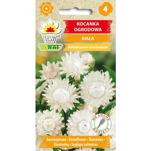 R4126 Weiße Decke Garten Blumen Samen Toraf 0.5g