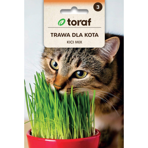 Katzengras, Grassamenmischung, Kici Mix, Toraf 30 g