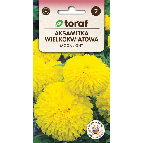 Großblütige Tagetes „Moonlight“, Tagetes-Samen, essbare Blüten, 1 g