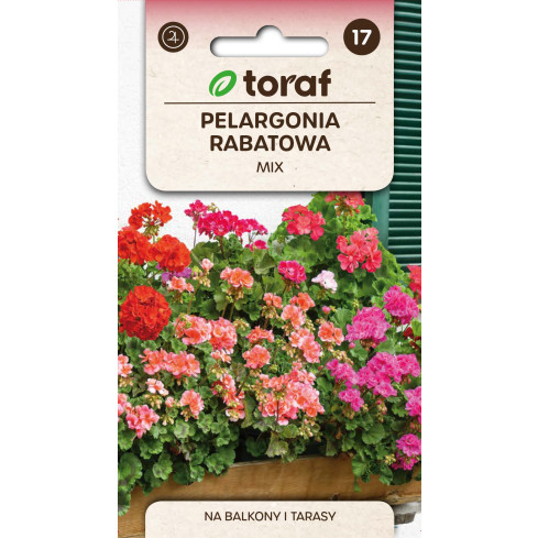 Beet-Geranien-Mischung, Pelargonium zonale, Geraniensamen-Mischung