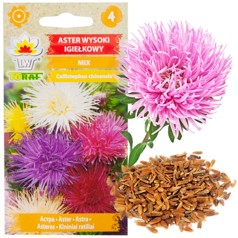 R0425 NADEL ASTER HOCH MIX FARBE 1 GR SAMEN SCHNITTBLUMEN UND BLUMENBEETE