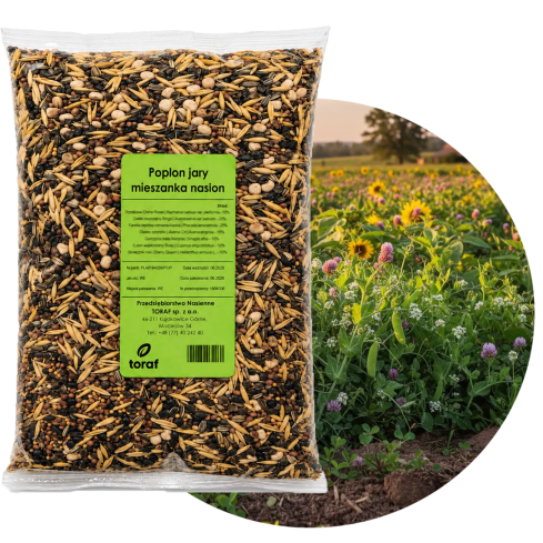 R2178 Saatgut für Zwischenfrüchte – Frühjahrsmischung, 1000 g