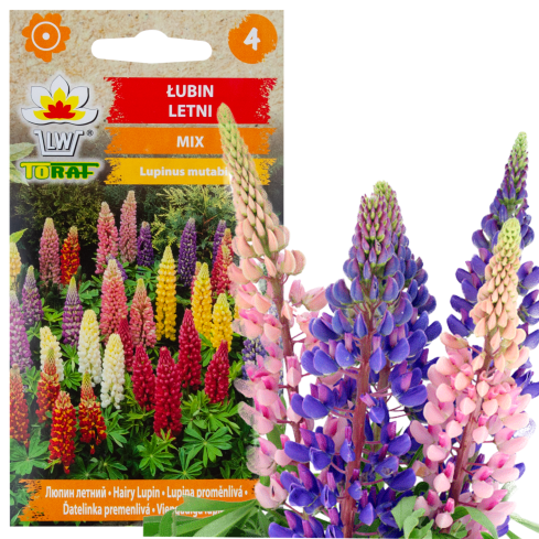 R2818 SOMMERLUPINE 1G SAMENMISCHUNG FARBE LUPINENBLÜTEN