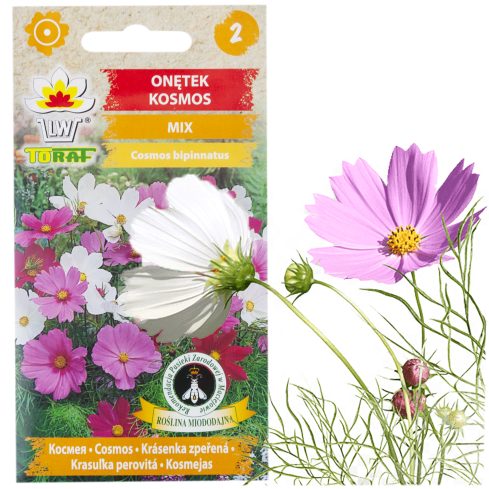 R3136 EINTAGSFLIEGE KOSMOS MIX FARBEN EINTAGSFLIEGE BLUMENSAMEN 1G FÜR GARTENBEETE
