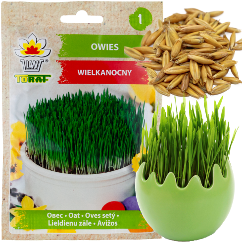 R3365 HAFERFLOCKEN DEKORATION OSTERTISCH DEKORATION 30G