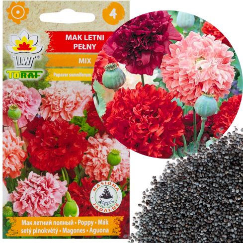R3969 SOMMER MOHN VOLLE FARBE MIX MOHNBLUMEN SAMEN 0.5G PFINGSTROSE MOHN