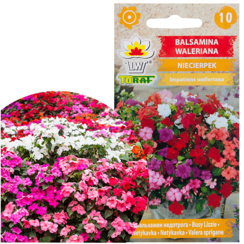 R4485 BALDRIAN 0.1 SAMEN BLUMEN FARBE