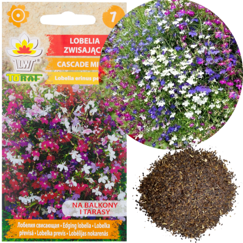 R5837 LOBELIA HÄNGENDE KASKADE GEMISCHT 0.1G LOBELIA BLUMEN SAMENMISCHUNG