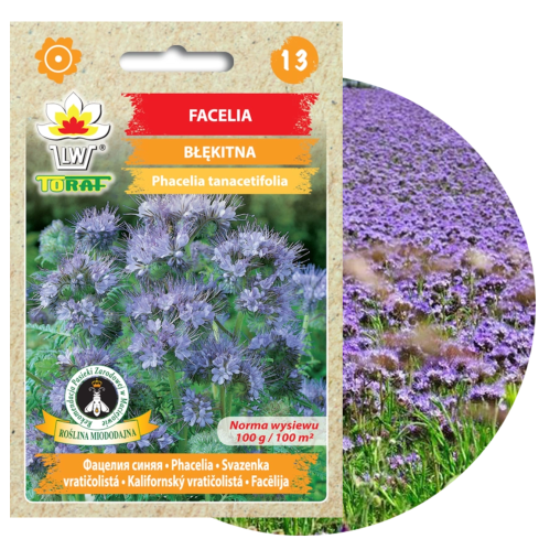Blaue Phacelia, honigtragend, als Zwischenfrucht, Samen, Toraf, 50 g