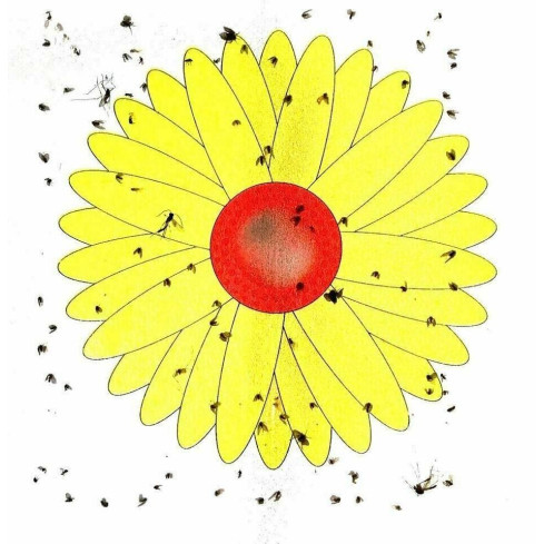 Klebefallen für das Fenster, Insektenkleber, Blumenform, 3er-Set.