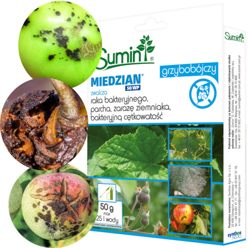 SUM11 FUNGIZID KUPFER 50 WP 50G