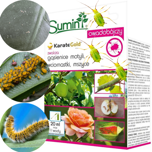 SUM30 Karate Gold Spray, Spray gegen Blattläuse und Schädlinge, Mittel gegen Blattläuse, 20 ml