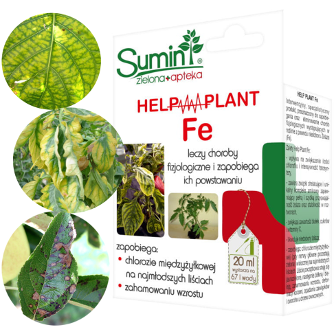 SUM40 Help Plant Eisen (Fe) 20 ml, Blattdünger, beugt physiologischen Erkrankungen und Wachstumshemmungen vor