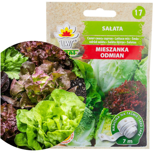 T3839 SALATMISCHUNG VIELFALT BAND 7M