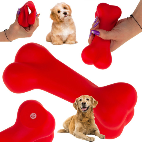 TG56080 BONE Chew mit Quietschwürfel HUNDSPIELZEUG