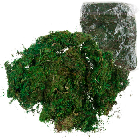 TG70316 ARTIFICIAL MECH 1kg SANDRY DECORATING MECH FOR STARS GREEN DURABLE