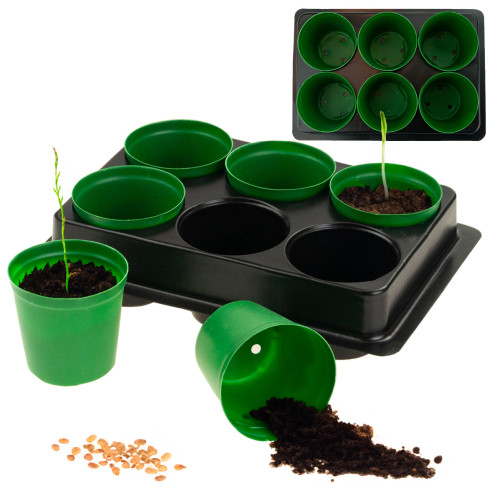 TG71424 PRODUKTIONSBEHÄLTER für die Aussaat von Setzlingen 6 St. + Palette