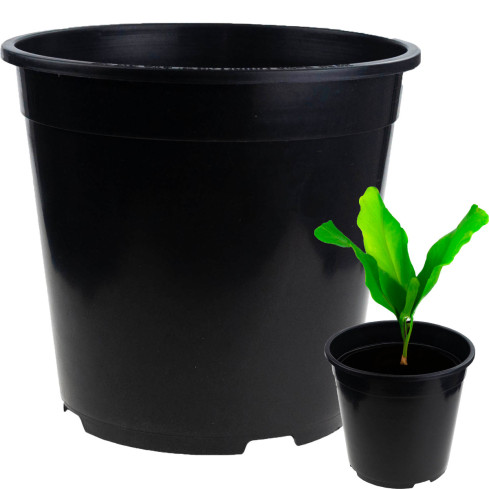TG72941 PRODUKTION BLUMENTOPF P24 7,5L RUNDER SAMENTOPF MIT 24X24CM RAND