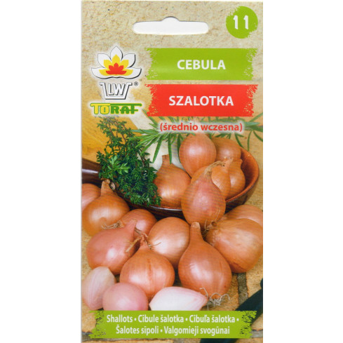 Schalotten (Conservor F1), Allium cepa L., Zwiebelsamen, 20 Stück
