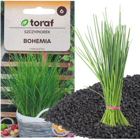 W0784 SCHNITTLAUCH BOHEMIA 2G SCHNITTLAUCHSAMEN SCHNELLWACHSEND MEHRJÄHRIG