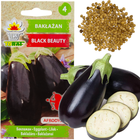 W1003 AUBERGINE SAMEN SCHWARZE SCHÖNHEIT LILA BIRNE DER LIEBE 1G