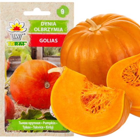 W1038 GOLIAS KÜRBIS CUCURBITA MAXIMA SAMEN KÜRBISFRUCHT BIS ZU 30KG 4G