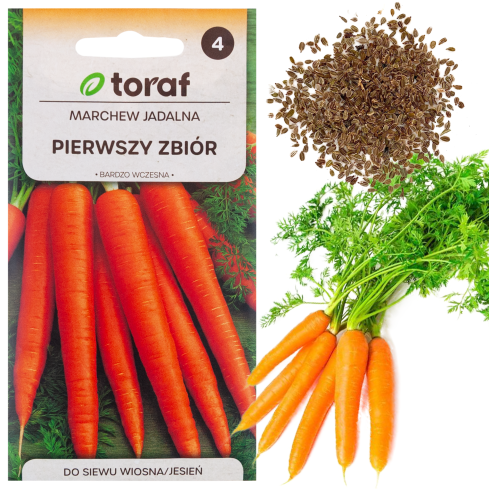 W1109 KAROTTENSAMEN ERSTE ERNTE B. FRÜHE SAFTIGE MÖHREN FÜR SAFT