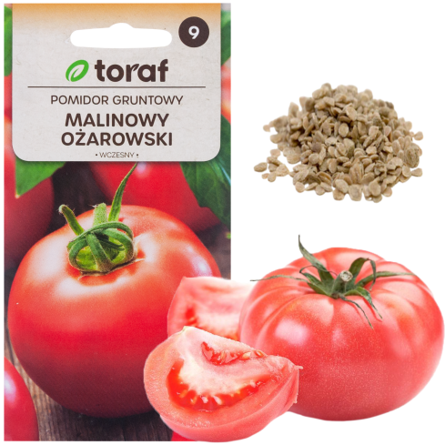 W1160 HIMBEERE GEMAHLENE TOMATENSAMEN FÜR SAUCEN KONSERVEN 0,5G