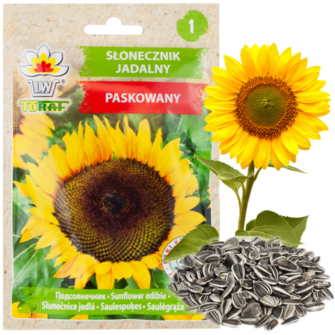 W1231 ESSBARE GARTEN-SONNENBLUME GESTREIFTES SAATGUT ZUR AUSSAAT SONNENBLUME 10G