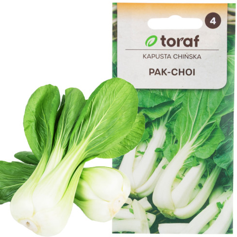 W3779 CHINESISCHER PAK CHOI KOHL 1G CHINESISCHE KOHLSAMEN TORAF